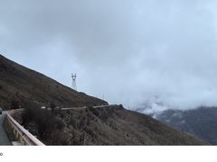 -卧龙自然保护区