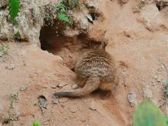 -广州长隆野生动物世界