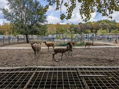 -哈尔滨北方森林动物园