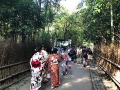 -野宫神社