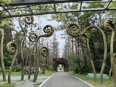 -东平国家森林公园