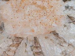 -官塘陈记鱼生·潮汕砂锅粥·牛肉火锅(潮枫路总店)