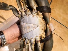 -石头咕(葵蓬店)