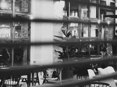 -VESH COFFEE(定西路店)