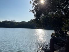 -深圳仙湖植物园