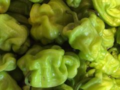-茄子恰恰·新云南小炒(坪山益田店)