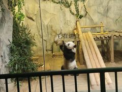 -深圳野生动物园