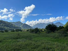 -大九湖
