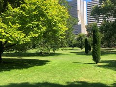 -墨尔本皇家植物园
