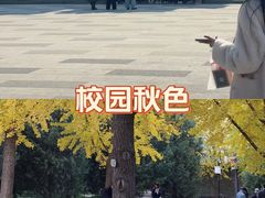 -云龙山