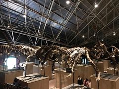 -世界恐龙谷景区