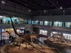 -自贡恐龙博物馆