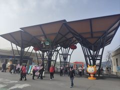 -上海长兴岛郊野公园