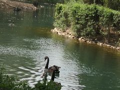 -长白岛森林公园