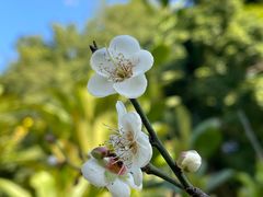 -广东中医药博物馆