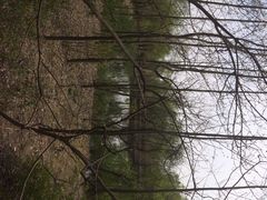 iphone_upload_pic-溱湖国家湿地公园