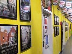 -杨梅红艺术教育(凤城教学中心)