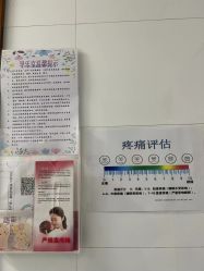 -上海市嘉定区妇幼保健院