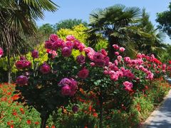 -郑州中国绿化博览园