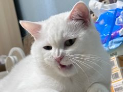 -好朋友餐馆(踏水桥北街店)