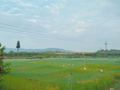 -光明小镇欢乐田园