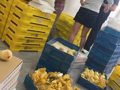 -老袁家蜜桃农场·阳山水蜜桃