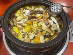 -菌之家·专业纯野生菌火锅·特色炒菌