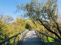 -西湖风景区-江洋畈生态公园