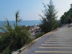 -广东惠东海龟国家级自然保护区