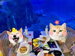 -石家庄极地海洋世界