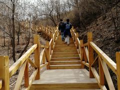 -大岭沟猕猴桃谷风景区