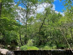 -玉渡山自然风景区