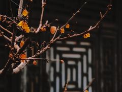 -颐和园