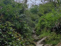 -老号尤兔头(幸福店)