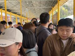 -洛阳白云山景区