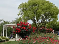-国家会展中心