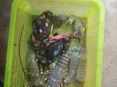 -班赞海鲜市场