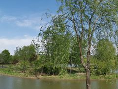 -东郊湿地公园