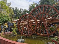 -品德宏·孔雀宴的发源地(金塔园店)