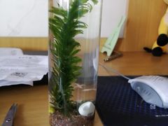 -浙江同济科技职业学院餐厅