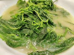 上汤桑叶苗-五谷芳乳鸽王(海景店)