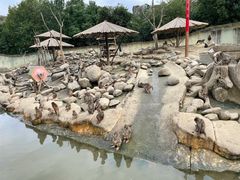 -常州淹城野生动物世界