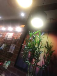 -时尚殿堂·颜SPA