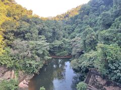 -鼎湖山风景区