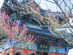 -梅花山(明孝陵内)