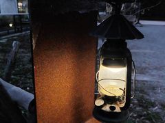 -前小桔亲子创意农场·草莓采摘·露营烧烤