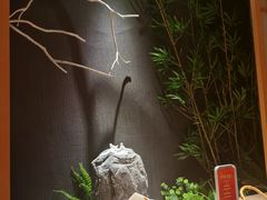 -文三酒肆自助放题(新街口友谊广场店)