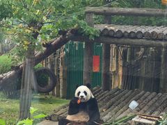 -大连森林动物园