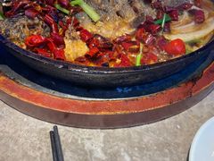 -老板恋上鱼(恒隆广场店)