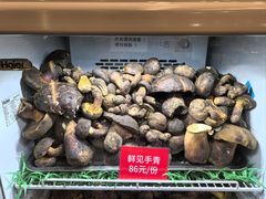 -太婆天府山珍酒楼(亚运村店)